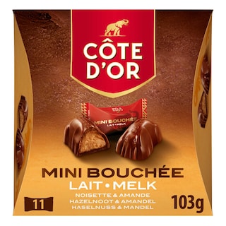 Cote d'or | Pralines | Melkchocolade | Mini | Praliné 