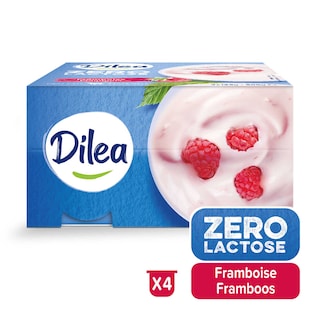 Dilea | Yaourt | Framboise 