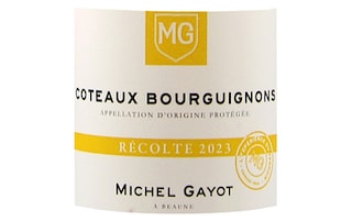 Michel Gayot | Coteaux Bourguignons | 2023 