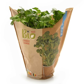 Delhaize | Bio | Coriandre | grand pot | Bio 