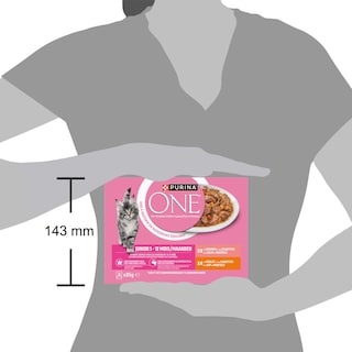 Purina ONE | Aliment Chat | Chaton | Pâté | Saumon 8 x 85 gr