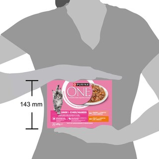 Purina ONE | Kattenvoeding | Kitten | Pâté | Zalm 8 x 85 gr