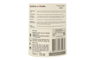Casillero | Pinot Grigio 