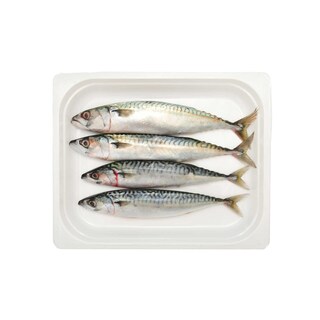 Delhaize | Filet de Maquereau 