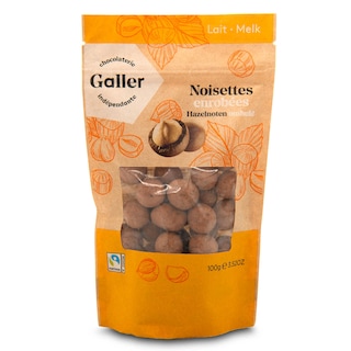 Galler | Hazelnoten | Melk chocolade 100 gr