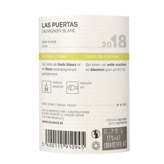 Chili | Central Valley | Las Puertas Sauvignon 2018 