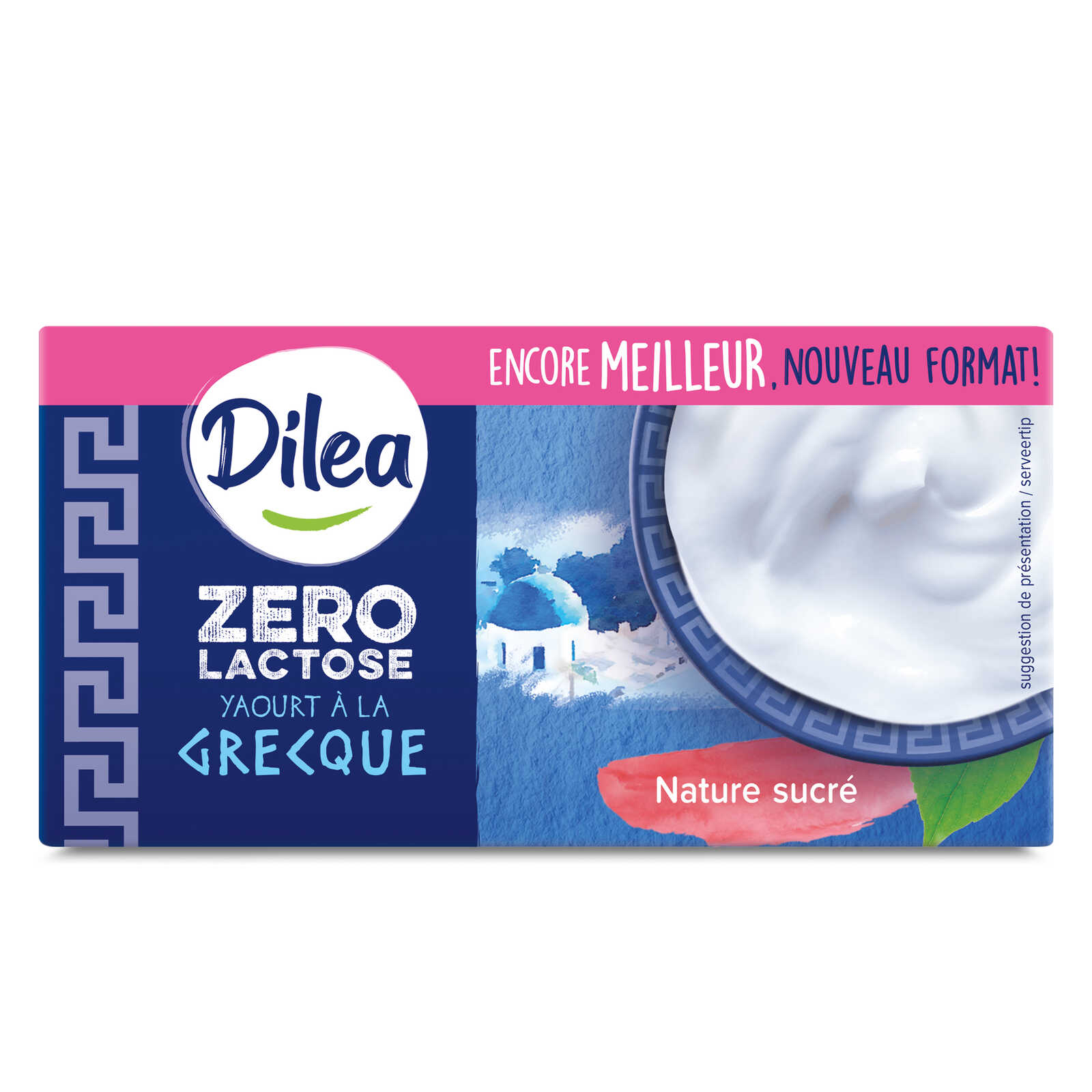 Dilea Yoghurt | Griekse wijze | Lactosevrij
