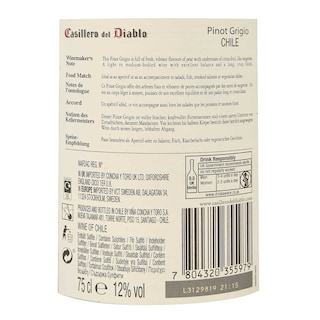 Casillero | Pinot Grigio 