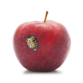 Delhaize | Appel | Primo | Cat1 