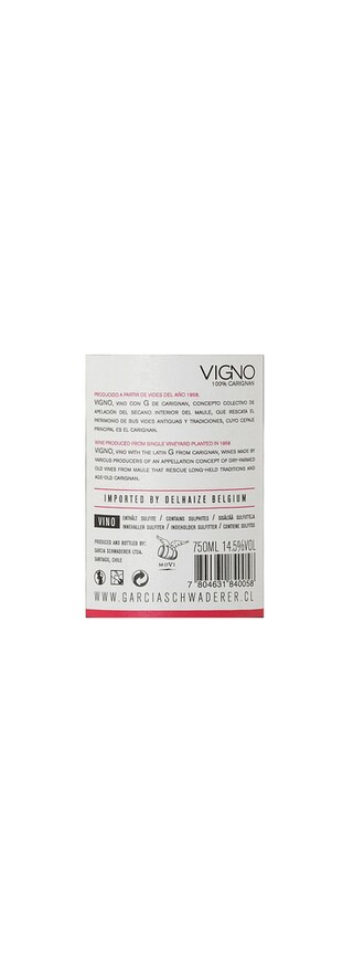 Vigno | Maule | Carignan | 2013 