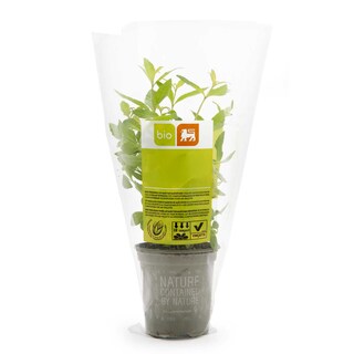 Delhaize | Bio | Citroen Verbena | Potje | Bio 