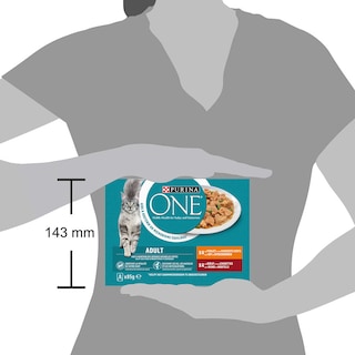 Purina ONE | Aliment chat | Adulte | Boeuf & poulet 
