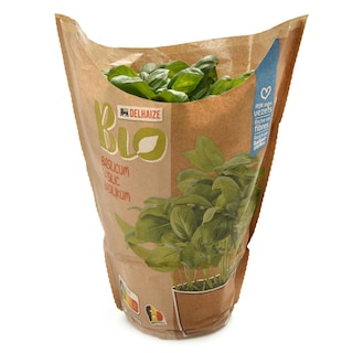 Delhaize | Bio | Basilic | Pot | Bio 1 pc