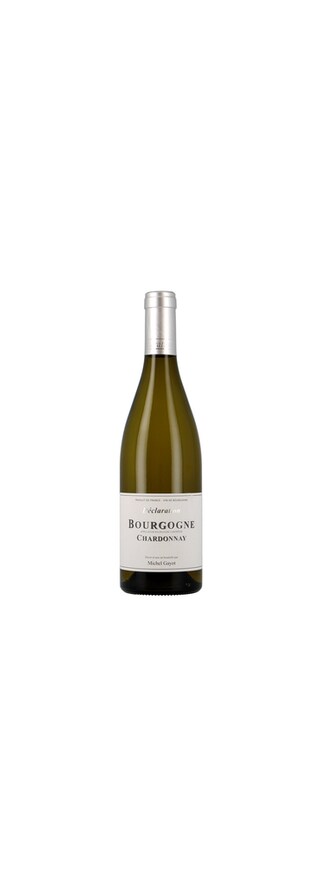 Michel Gayot | Bourgogne Chardonnay 75 cl