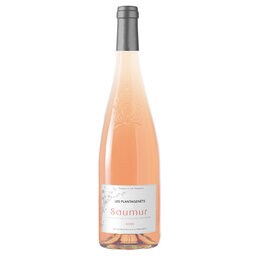 Les Plantagenets | Saumur | 2023 