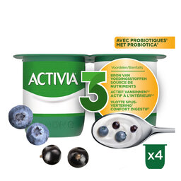 Activia | Yoghurt | Bosbes | Bifidus | Probiotica 4 x 125 gr