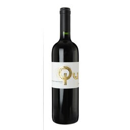 Chili | Maipo valley | Qu Cabernet Sauvignon 2012 Rouge 