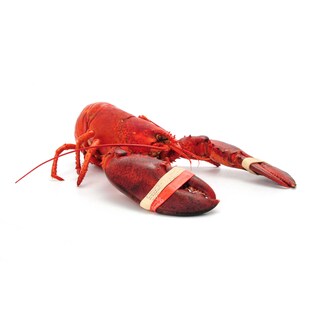 Delhaize | Summer lobster | Cooked 