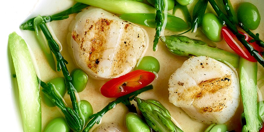 Noix de saint-jacques avec une nage d’herbes potagères et asperges