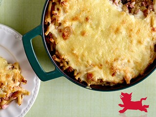 Macaronigratin met witloof en ham