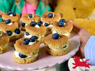 Mini-sponge cakes met blauwe bessen