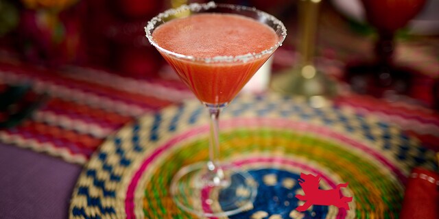 Paloma