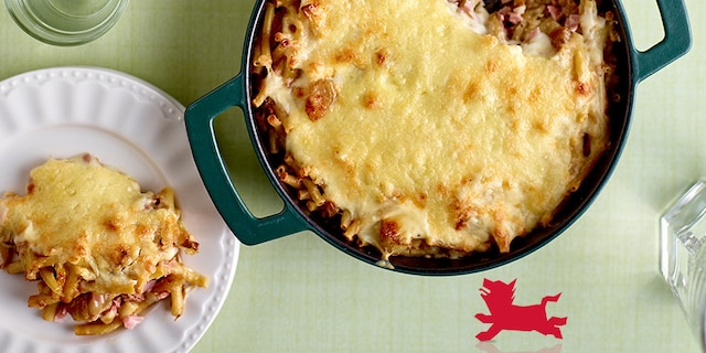 Macaronigratin met witloof en ham