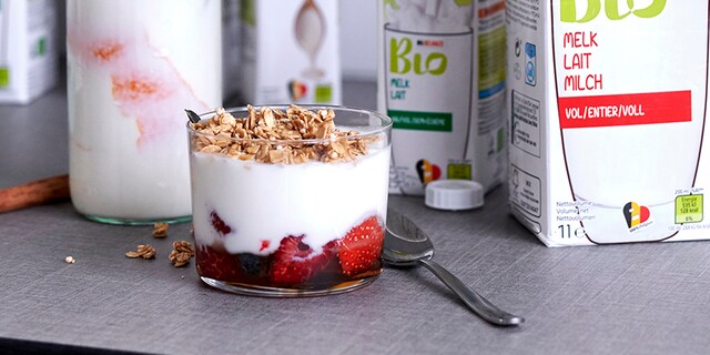 Yoghurt met fruit