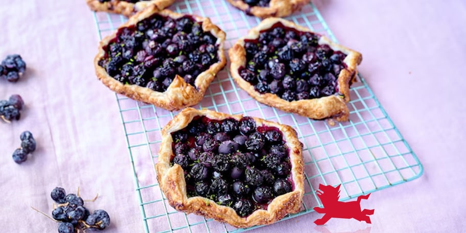 Tartelettes express aux myrtilles