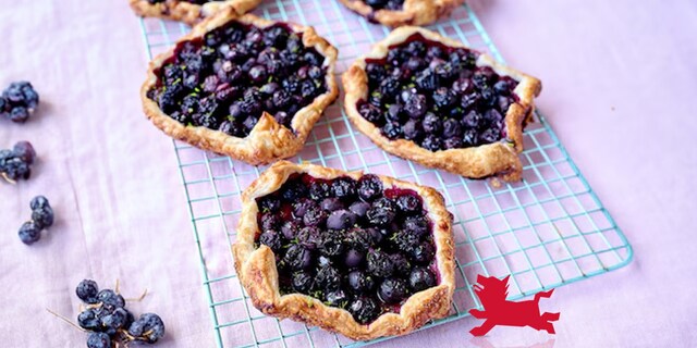 Tartelettes express aux myrtilles