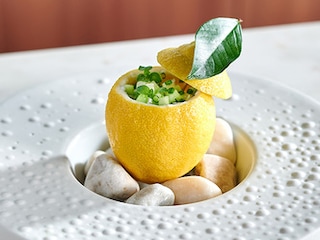 Citron au tartare de bar, pomme verte et crème de coco