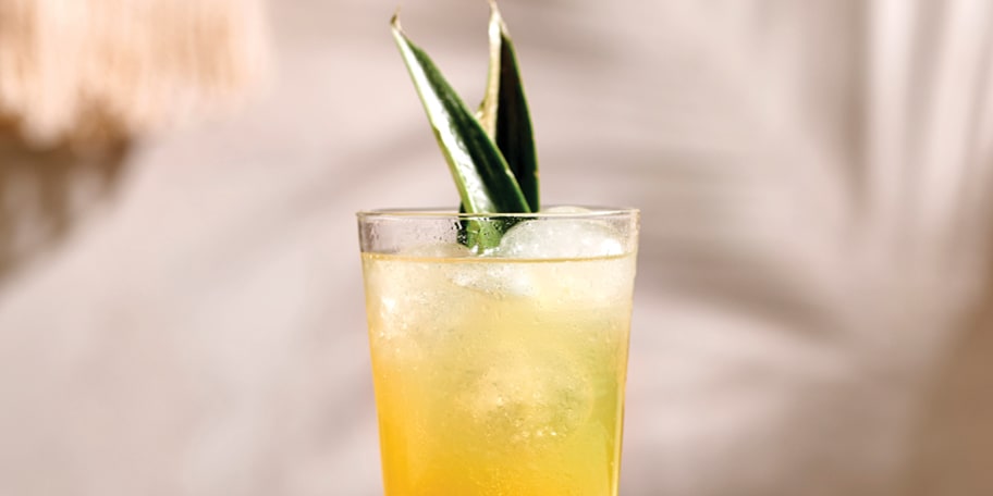 Summer Mule