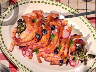 Zalmgravlax met blauwe bessen