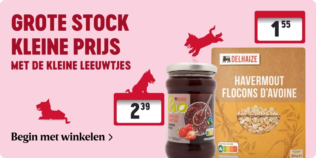 Kleine Leeuwtjes 🦁