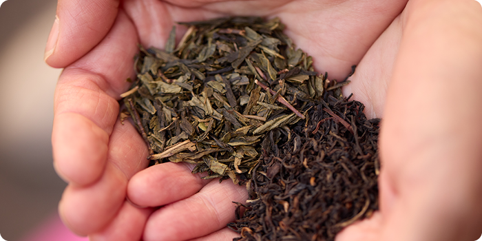 D’où vient le kombucha ?